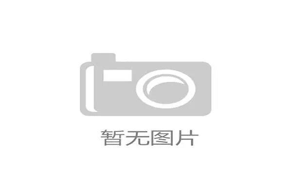 德甲裁判委员会对上周末争议点球判罚道歉，涉事主裁将暂别执法一线